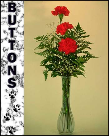 In Loving Memory of Buttons