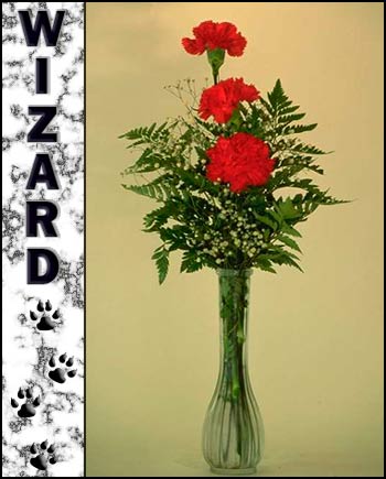 In Loving Memory of Wizard