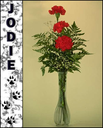 Jodie's Memorial