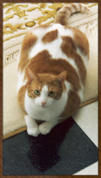 Pebbles "Bubbie" McReelis