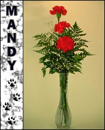 In Loving Memory of Mandy