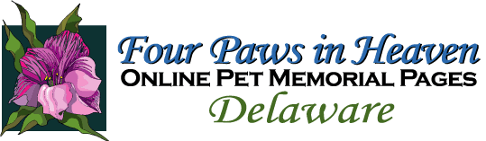Four Paws in Heaven Delaware Memorials