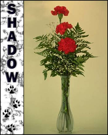Shadow's Memorial