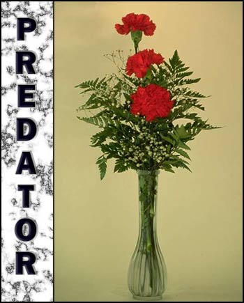 Predator's Memorial
