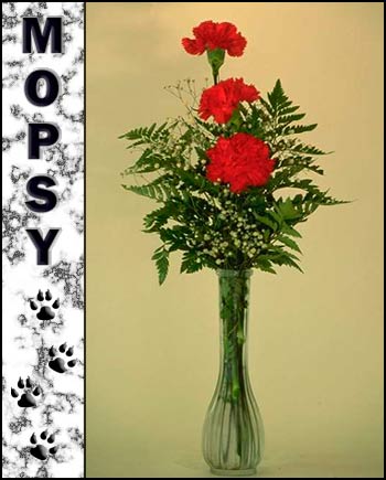 Mopsy's Memorial