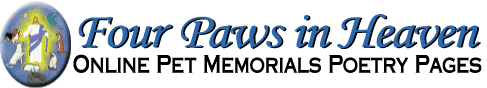Four Paws in Heaven Poetry