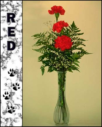 In Loving Memory of Red
