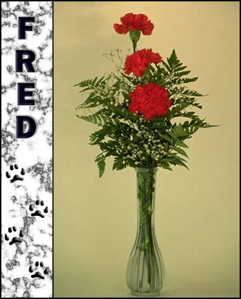 Fred's Memorial