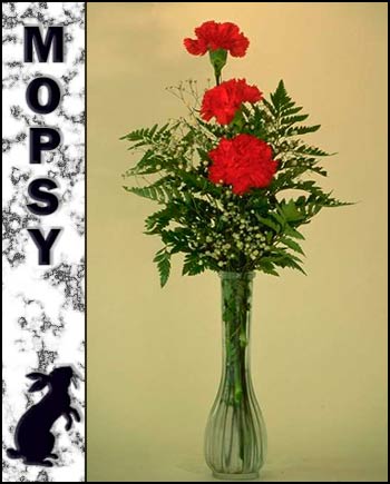 In Loving Memory of Mopsy