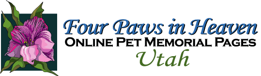Four Paws in Heaven Utah Memorials